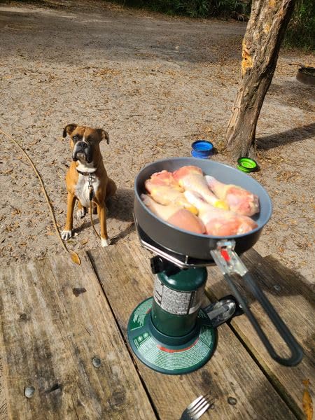 Coleman BottleTop Propane Stove with Adjustable Burner, Portable Camping/Backpacking Cooker with 7650 BTUs of Power for Camping, Tailgating, Grilling, & More customer photo 1