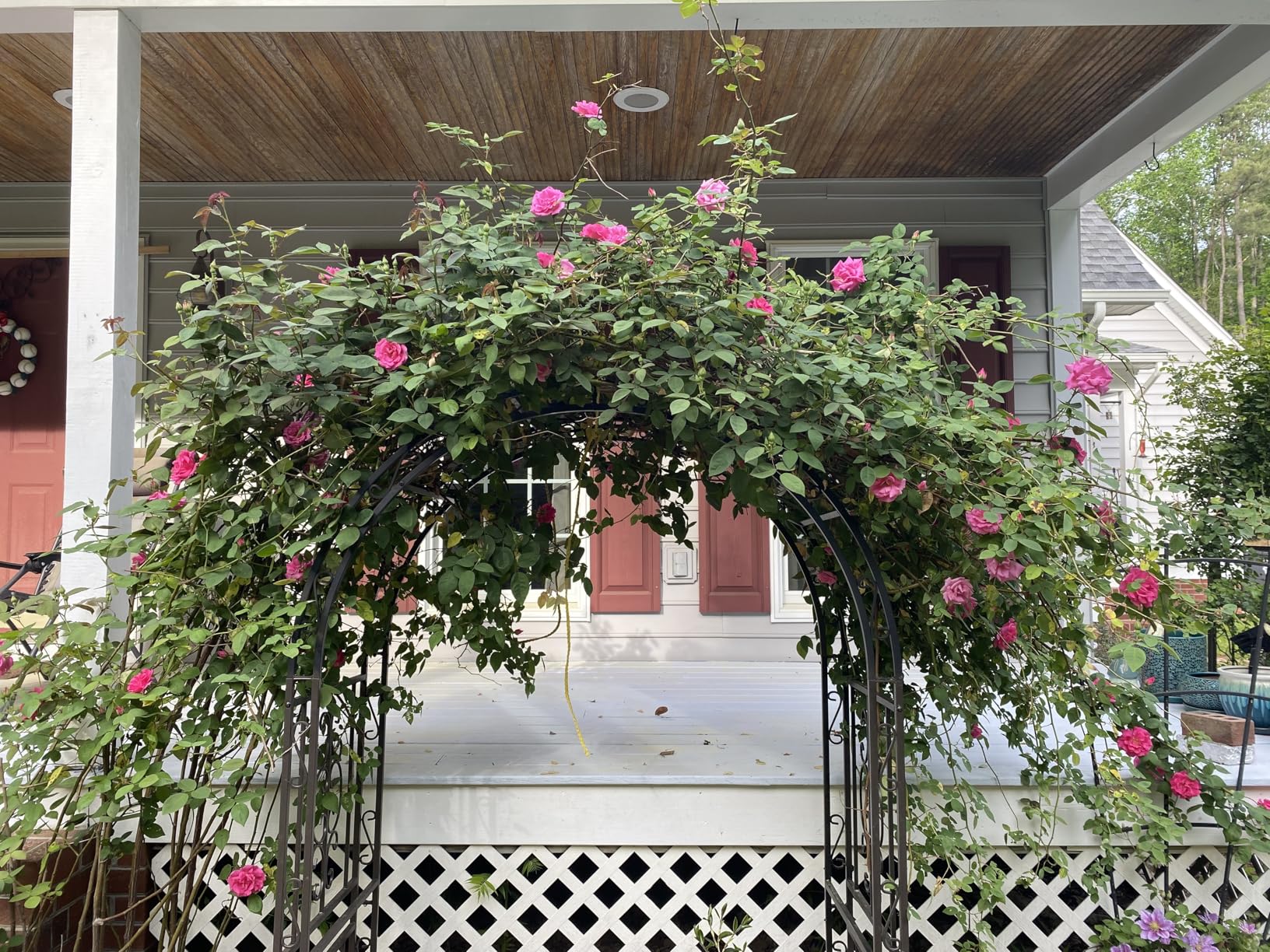 Plow & Hearth Arch Metal Outdoor Garden Arbor | Montebello | 7 Feet Tall | Gun-Metal | Steel Iron Trellis Lattice for Climbing Plants & Heavy Vines | Wedding Outdoor Patio Decor customer photo 2