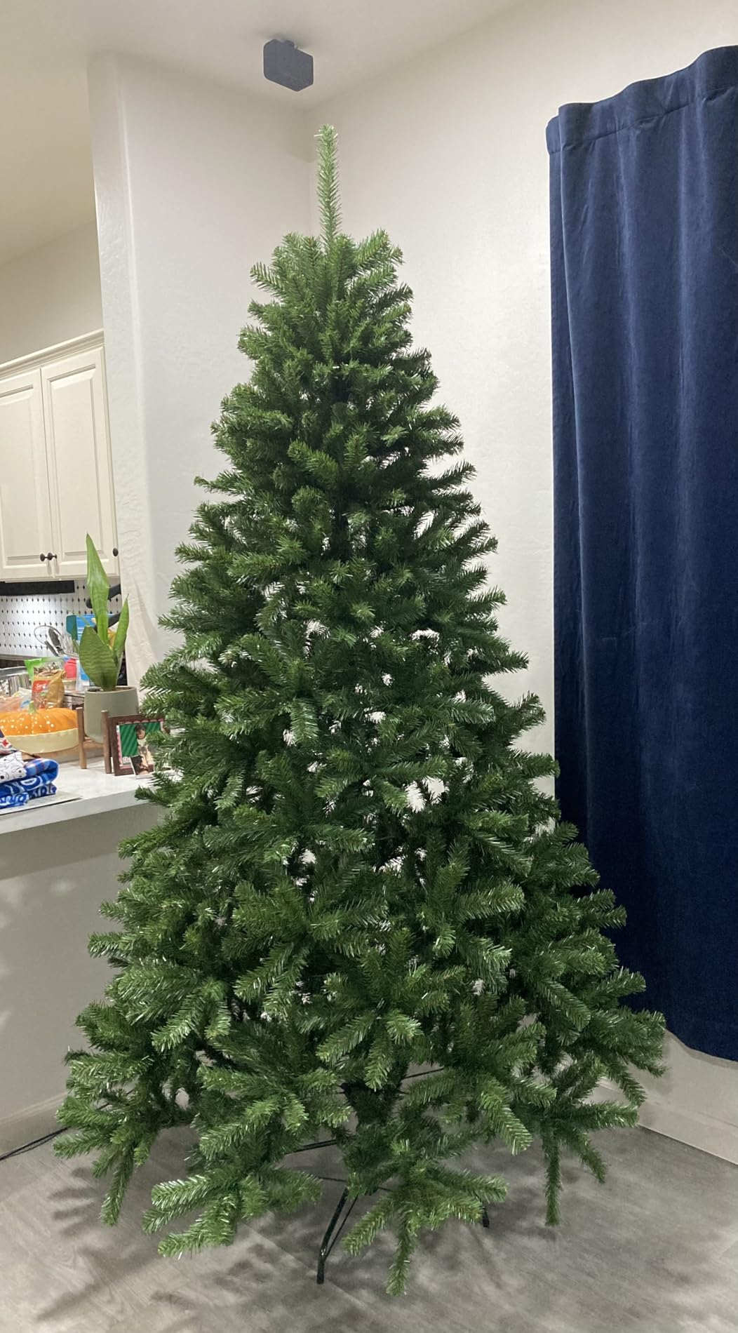 7.5 ft Unlit North Valley Spruce Artificial Christmas Tree, 1,346 Tips, Includes Stand, Green customer photo 1