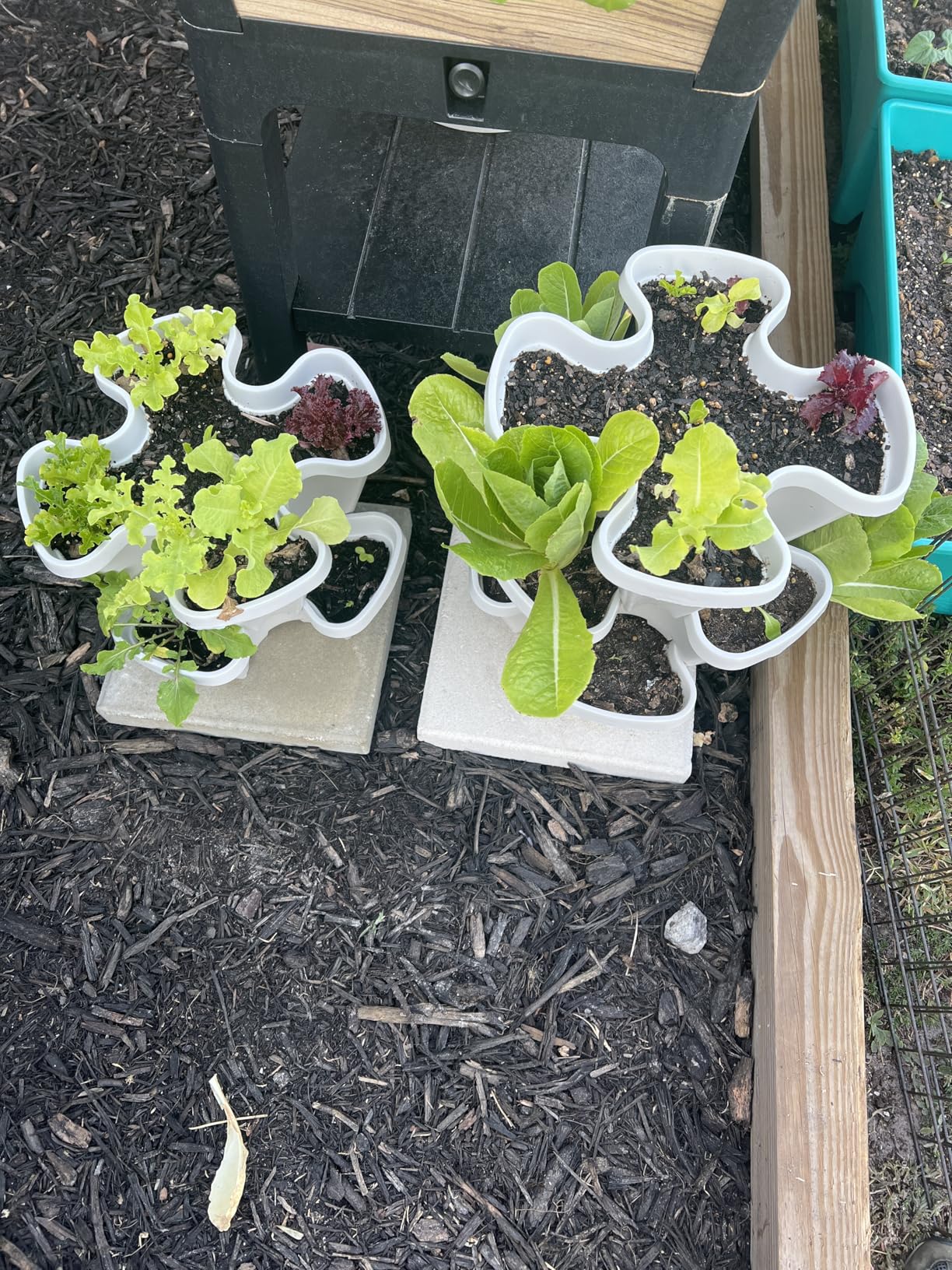 Mr. Stacky 1305-HG 5-Tier Stackable Strawberry, Herb, Flower, & Vegetable Planter customer photo 2