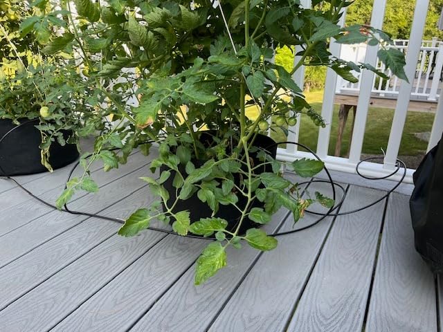 Raindrip R560DP Drip Watering System with Timer for Containers and Hanging Baskets customer photo 1