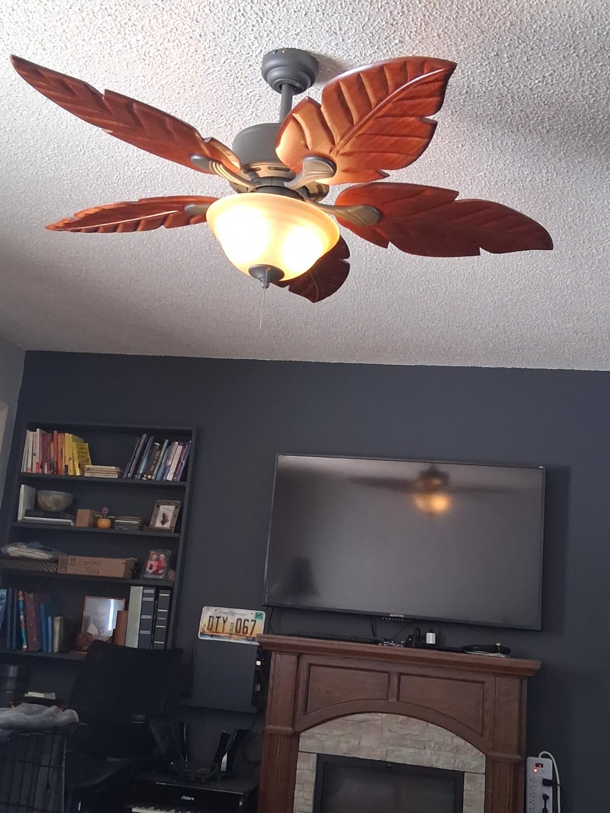 Honeywell Ceiling Fans Sabal Palm, 52 Inch Tropical LED Ceiling Fan with Light, Pull Chain, Dual Mounting Options, Hand Carved Solid Wood Blades - 50204-01 (Bronze) customer photo 1