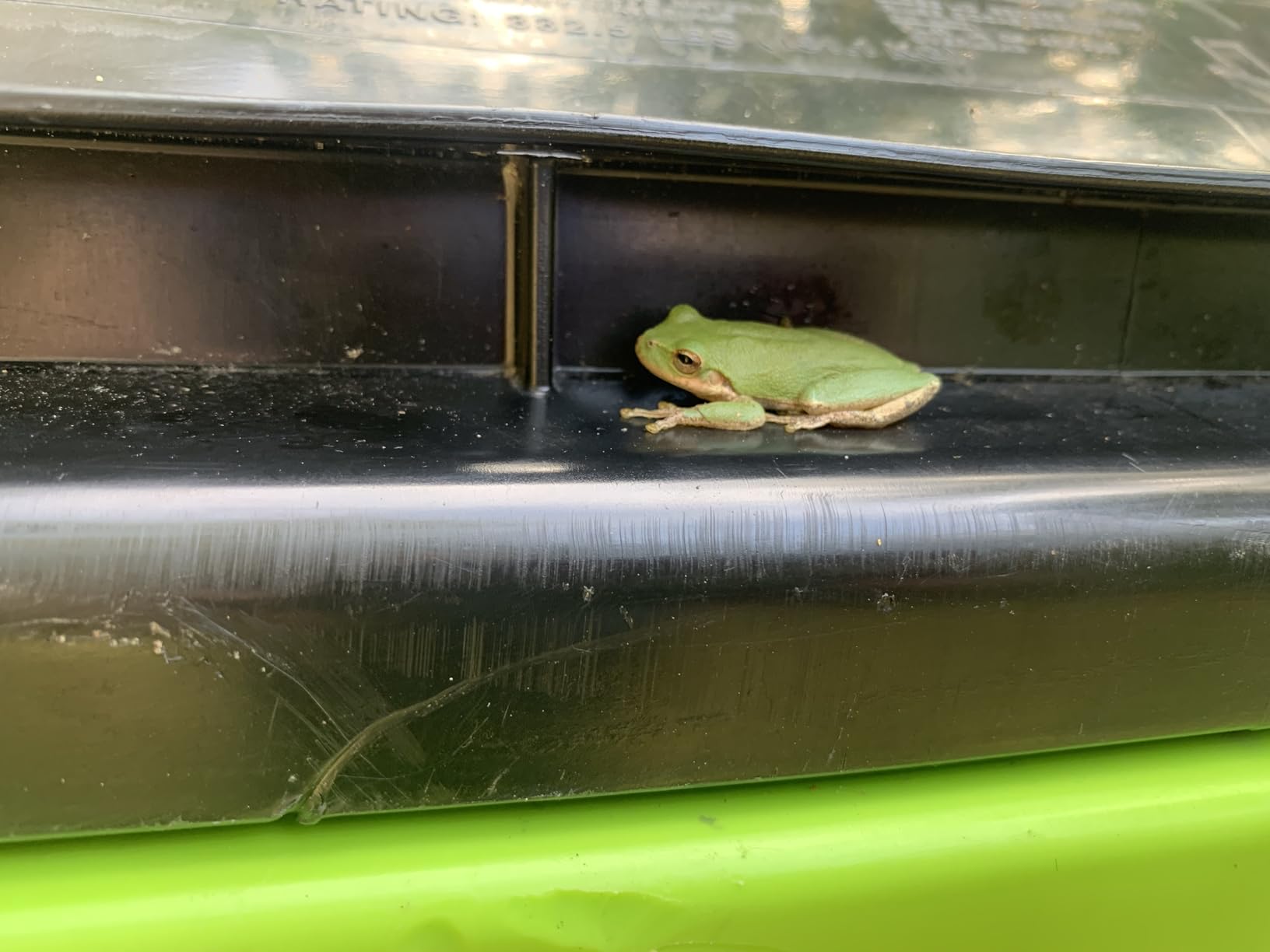 FCMP Outdoor HOTFROG Rolling Single Chamber Batch Tumbling Composter - Outdoor Rotating Garden Compost Bin (HF-RC4000WB) Black & Green (37-Gallon) customer photo 1