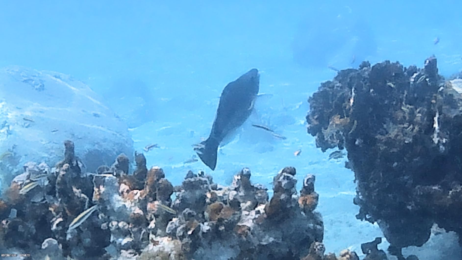 AKASO EK7000 4K30FPS 20MP WiFi Action Camera with EIS Ultra HD 131FT Waterproof Underwater Camera Remote Control 4X Zoom Support External Microphone Black customer photo 2