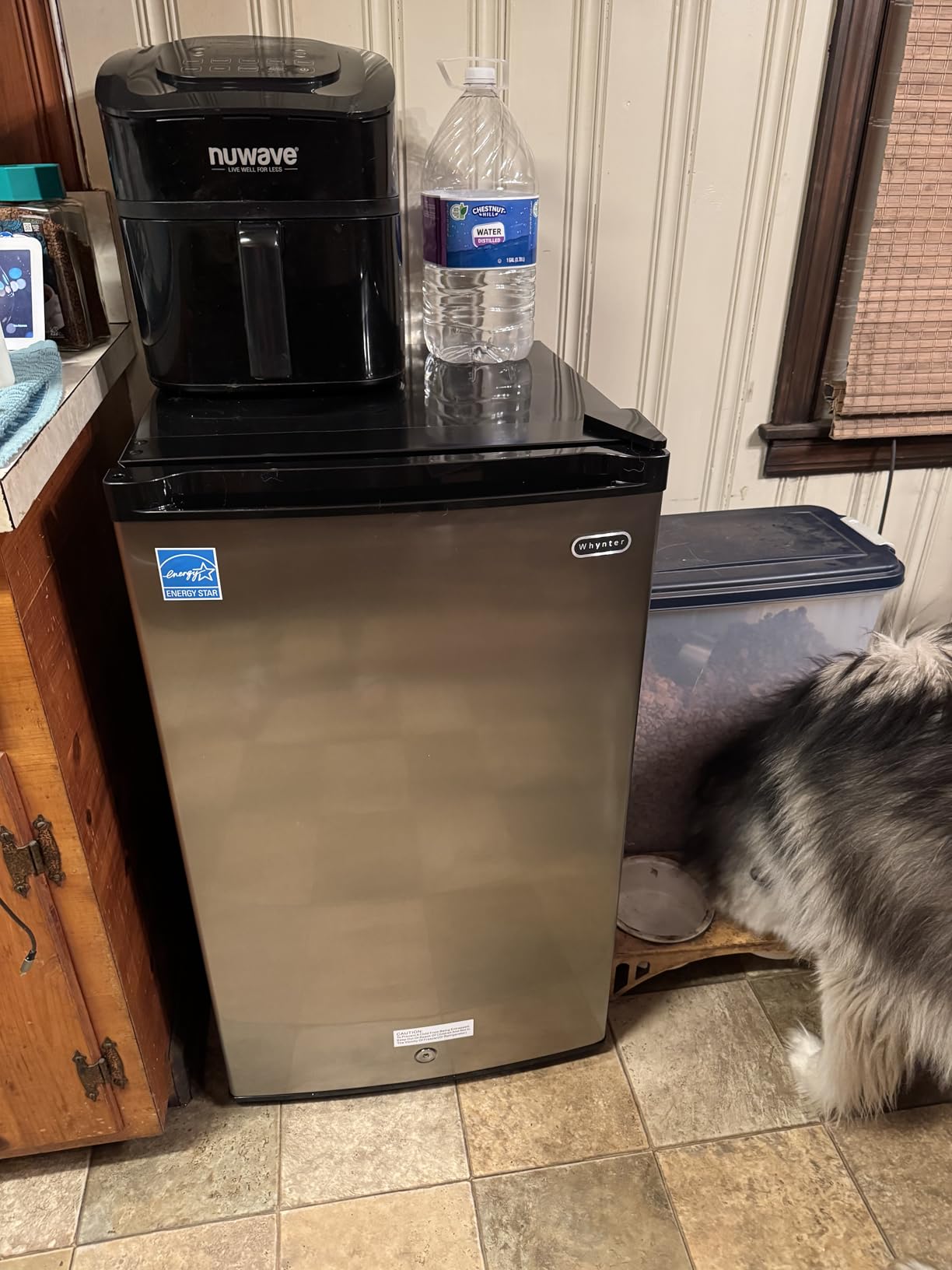 Whynter CUF-112SS Mini, Energy Star Rated Small Upright Freezer with Lock, Stainless Steel -1.1 Cubic Feet customer photo 1