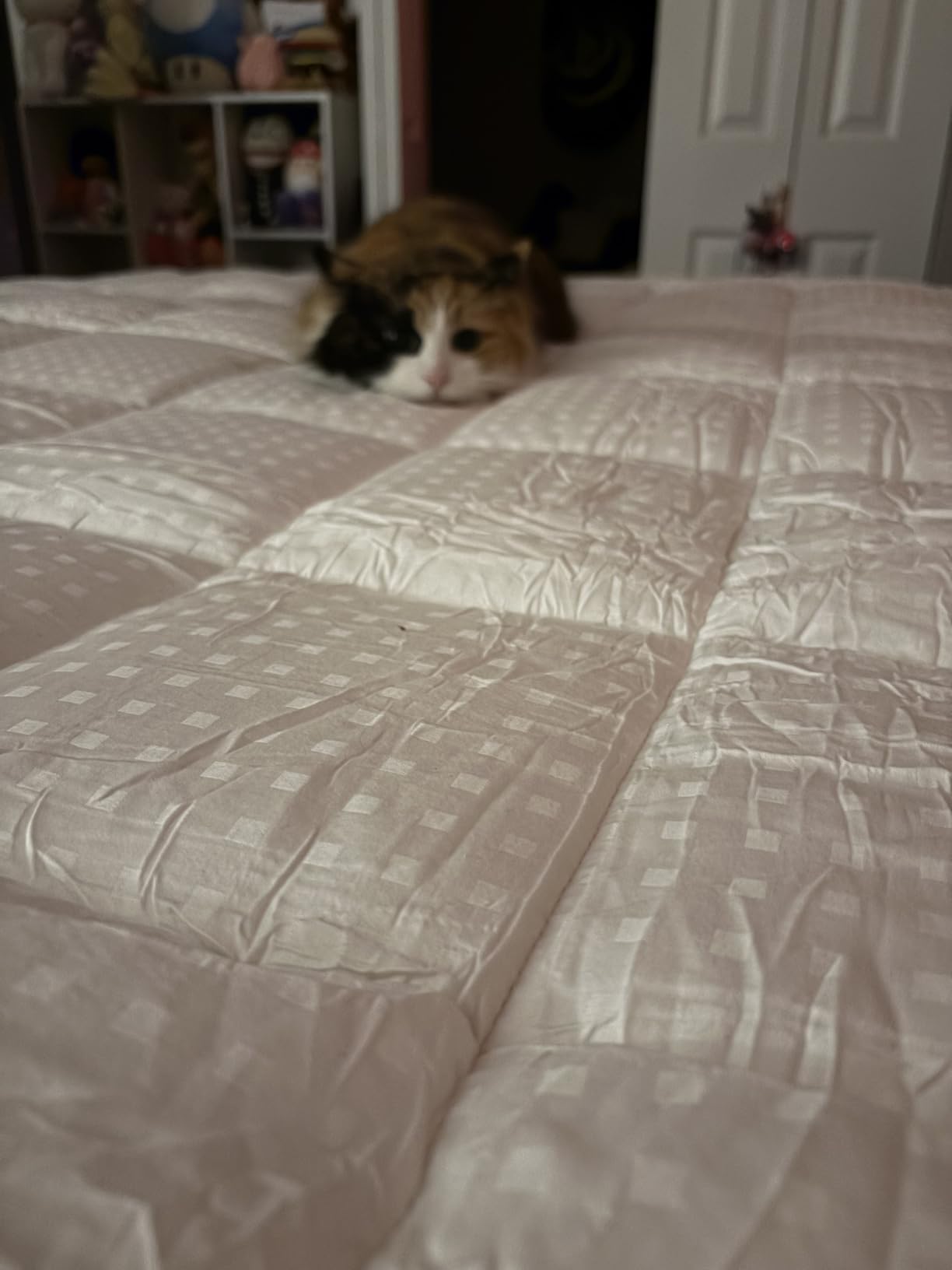 EASELAND Queen Size Mattress Pad Pillow Top Mattress Cover Quilted Fitted Mattress Protector Cotton Top Stretches up 8-21