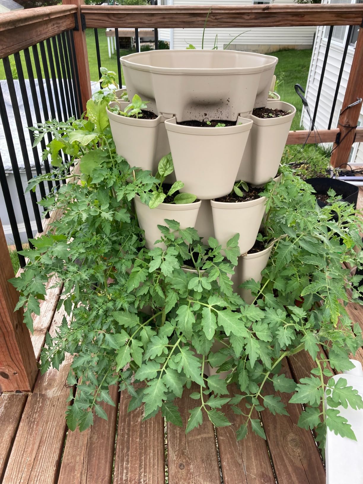 Greenstalk Patented Large 5 Tier Vertical Garden Planter with Patented Internal Watering System (Stunning Stone) customer photo 1