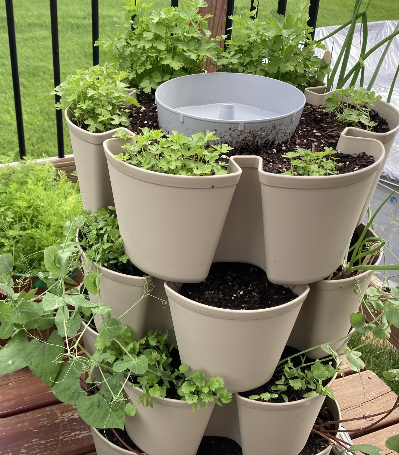 Greenstalk Patented Large 5 Tier Vertical Garden Planter with Patented Internal Watering System (Stunning Stone) customer photo 2