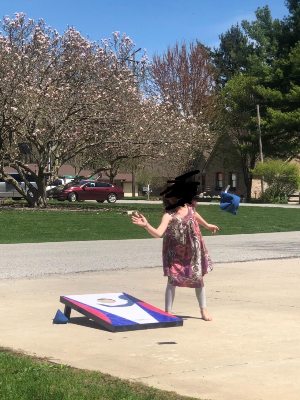 Amazon Basics Portable Cornhole Set, Outdoor Game Bean Bag Toss with Carrying Case, Blue/Red customer photo 1
