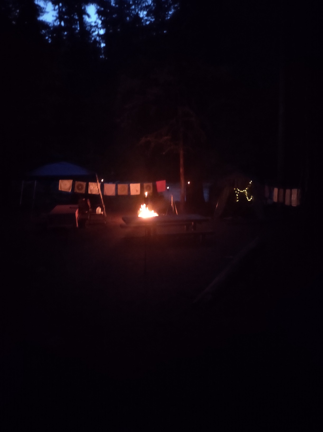 TIKI Cabos Metal Torch - 65-Inch Bronze Outdoor Torch for Patio, Garden, and Lawn, Includes Long-Lasting Wick and Snuffer, Weather-Resistant Decorative TIKI Torch for Backyard and Landscaping customer photo 1