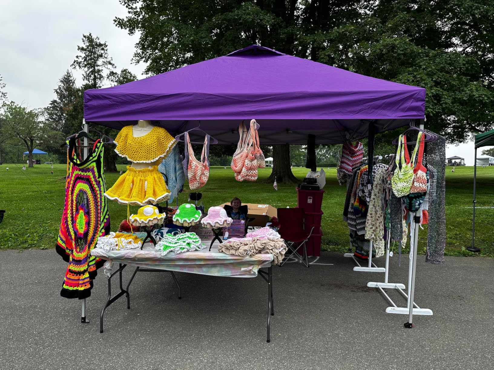 CROWN SHADES 10x10 Pop Up Canopy, Patented Center Lock One Push Tent Canopy, Newly Designed Storage Bag, 8 Stakes, 4 Ropes customer photo 2