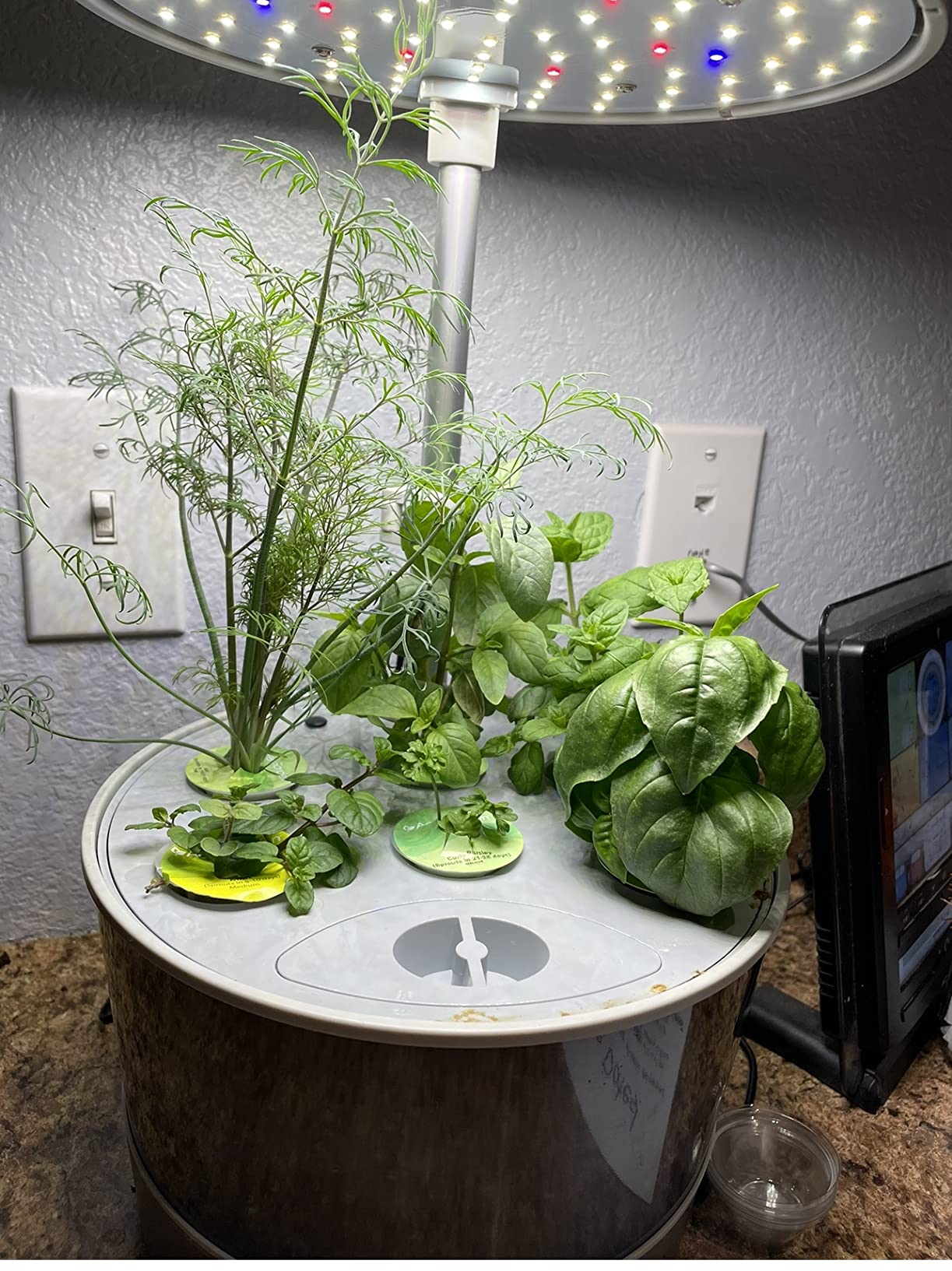Harvest Elite 360 Indoor Garden Hydroponic System with LED Grow Light and Herb Kit, Holds up to 6 Pods, Platinum customer photo 2