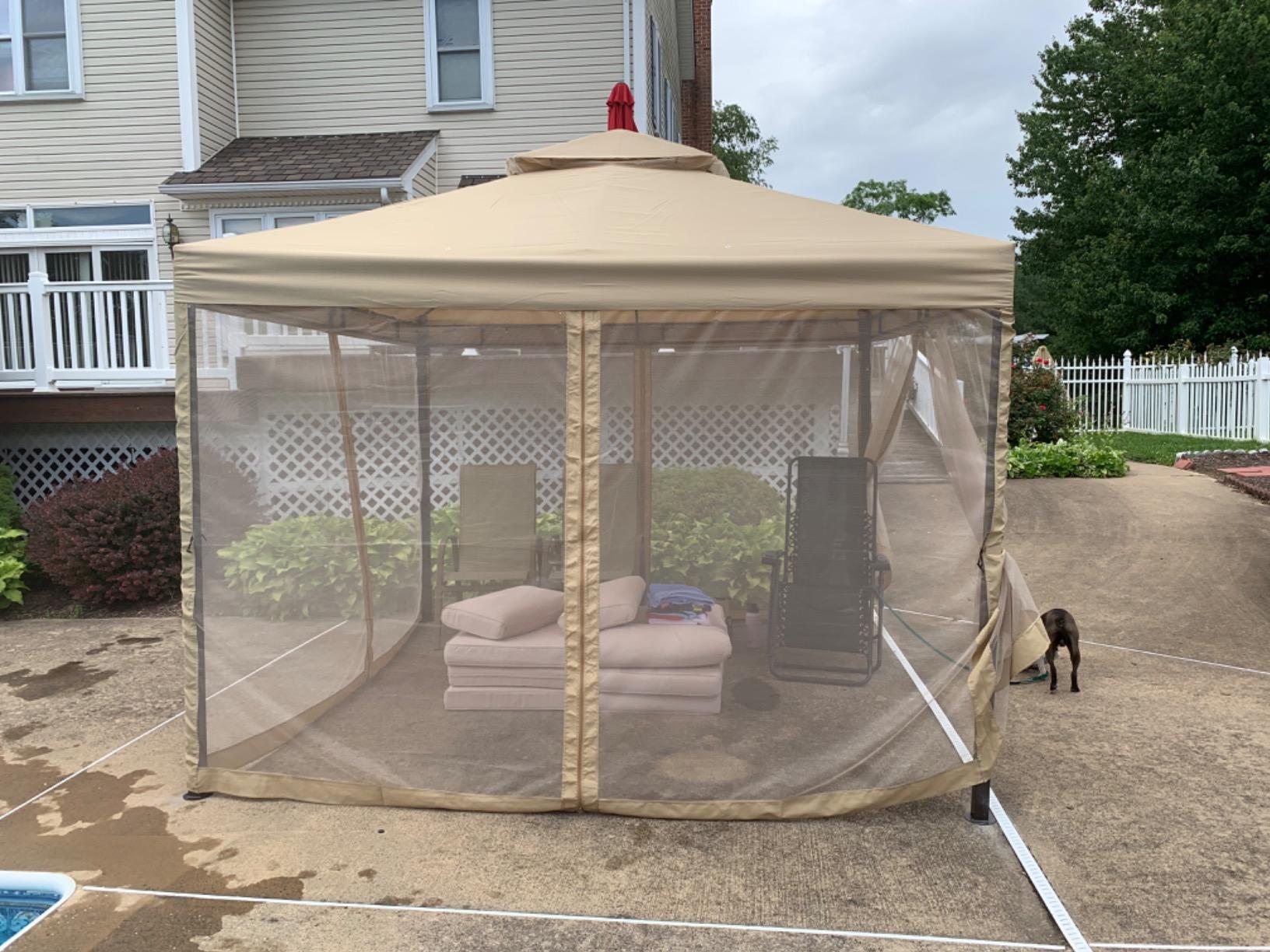 Sunnyglade 10' x10' Gazebo Canopy Soft Top Outdoor Patio Gazebo Tent Garden Canopy for Your Yard, Patio, Garden, Outdoor or Party customer photo 2