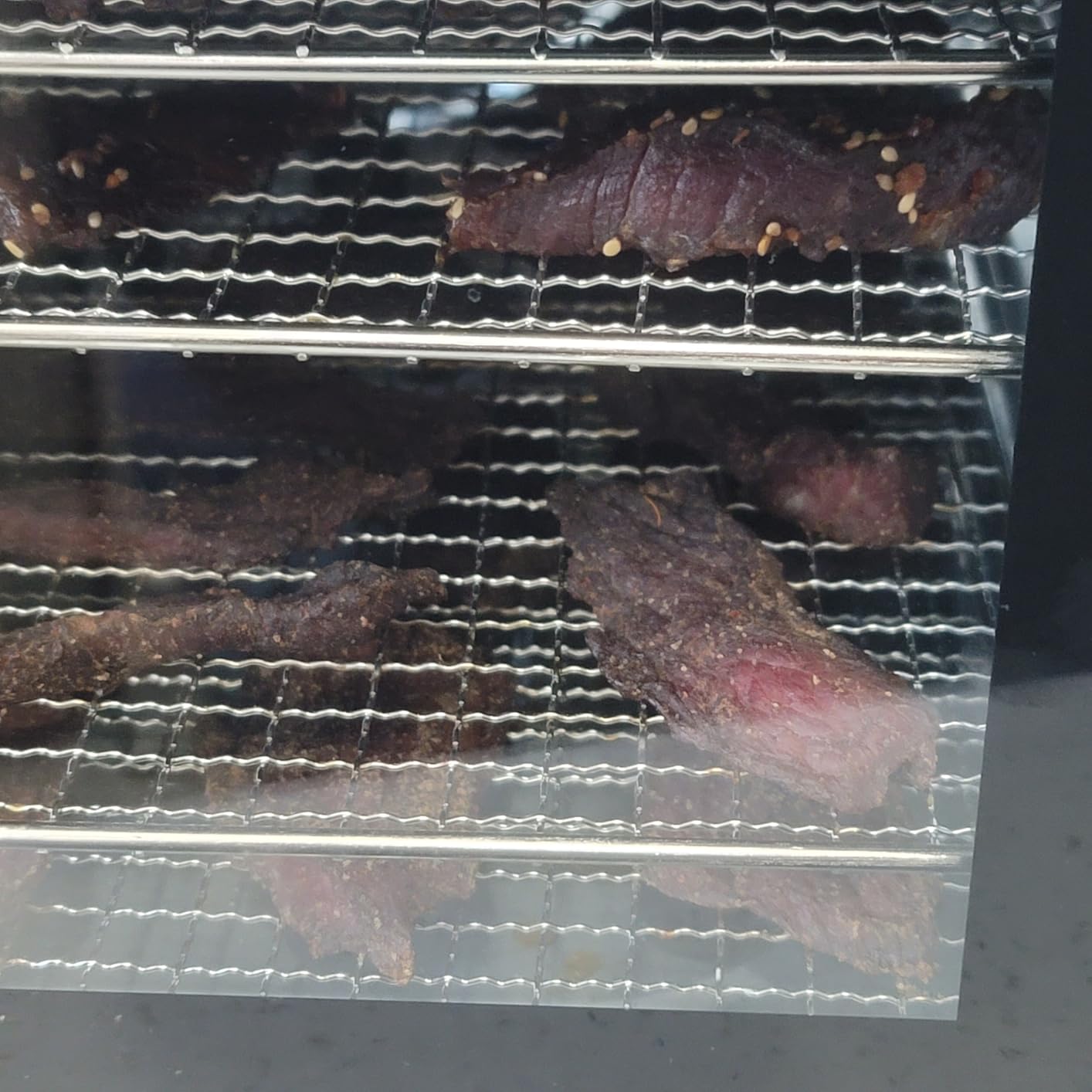 COSORI Food Dehydrator, Bigger Than 7 Trays with Large 6.5 ft² Drying Space, Stainless Steel Trays, 600W Faster Drying, 165°F Dehydrated Dryer for Jerky, Dog Treats, Herbs, Meat, Fruit, Yogurt, Silver customer photo 2