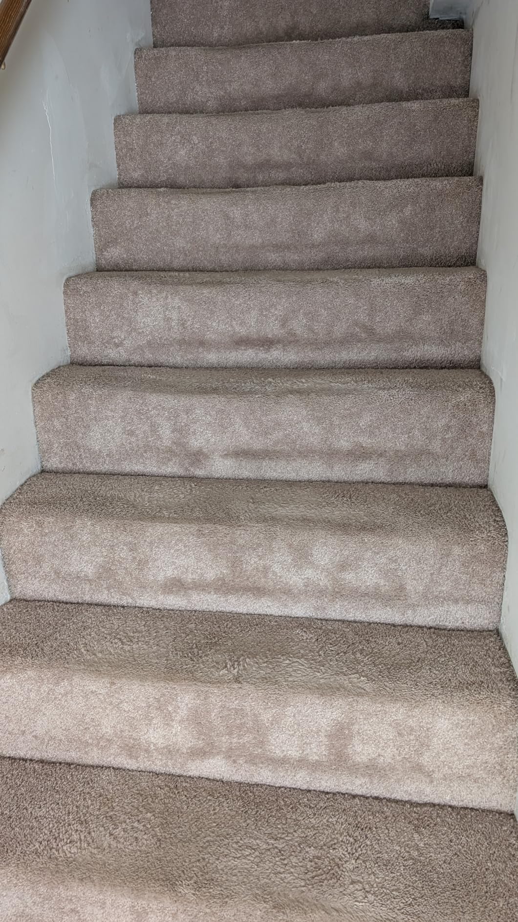 Shark Pet Cordless Vacuum Cleaner | LED Headlights | Removable Handheld Vacuum for Pet Hair | Crevice Tool & Pet Multi-Tool Included | 40min Runtime | For Carpet & Hard Floors customer photo 1