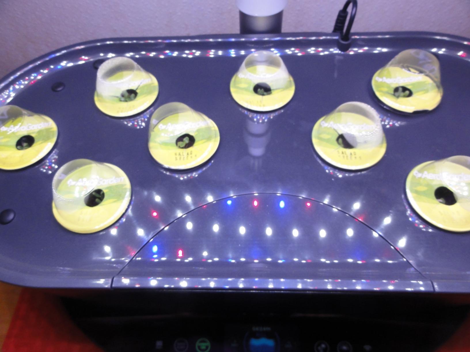 AeroGarden Bounty - Indoor Garden with LED Grow Light, WiFi and Alexa Compatible, Black customer photo 1
