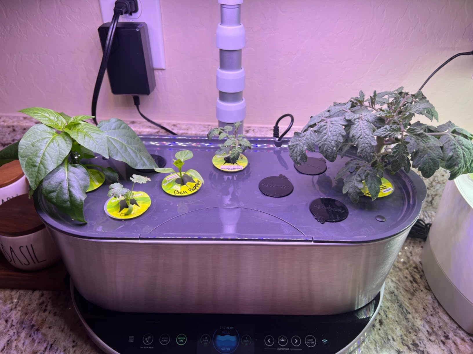 AeroGarden Bounty Elite - Indoor Garden with LED Grow Light, WiFi and Alexa Compatible, Stainless Steel customer photo 1
