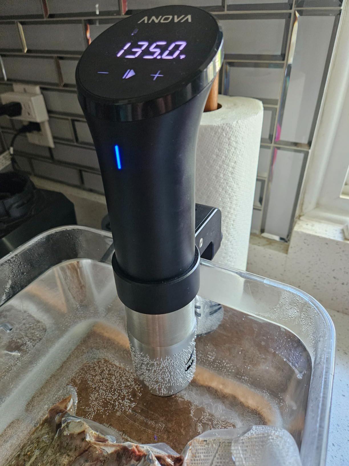 Anova Culinary Sous Vide Precision Cooker 2.0 (WiFi), 1000 Watts customer photo 2