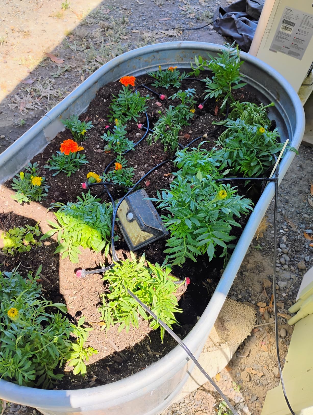 HIRALIY 100ft Drip Irrigation Kit Plant Watering System customer photo 1