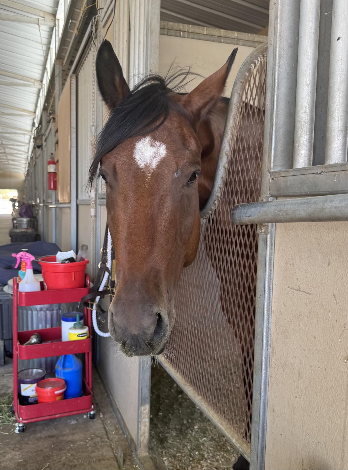 Simple Houseware 3-Tier Heavy Duty Metal Utility Rolling Cart, White customer photo 1