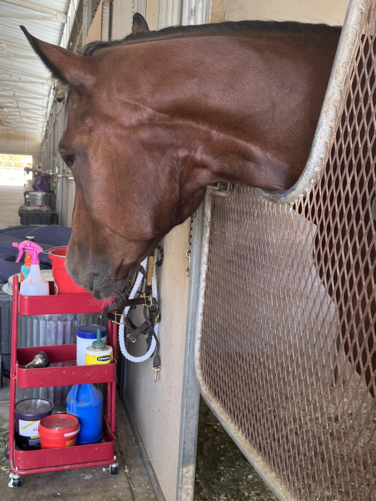 Simple Houseware 3-Tier Heavy Duty Metal Utility Rolling Cart, White customer photo 2