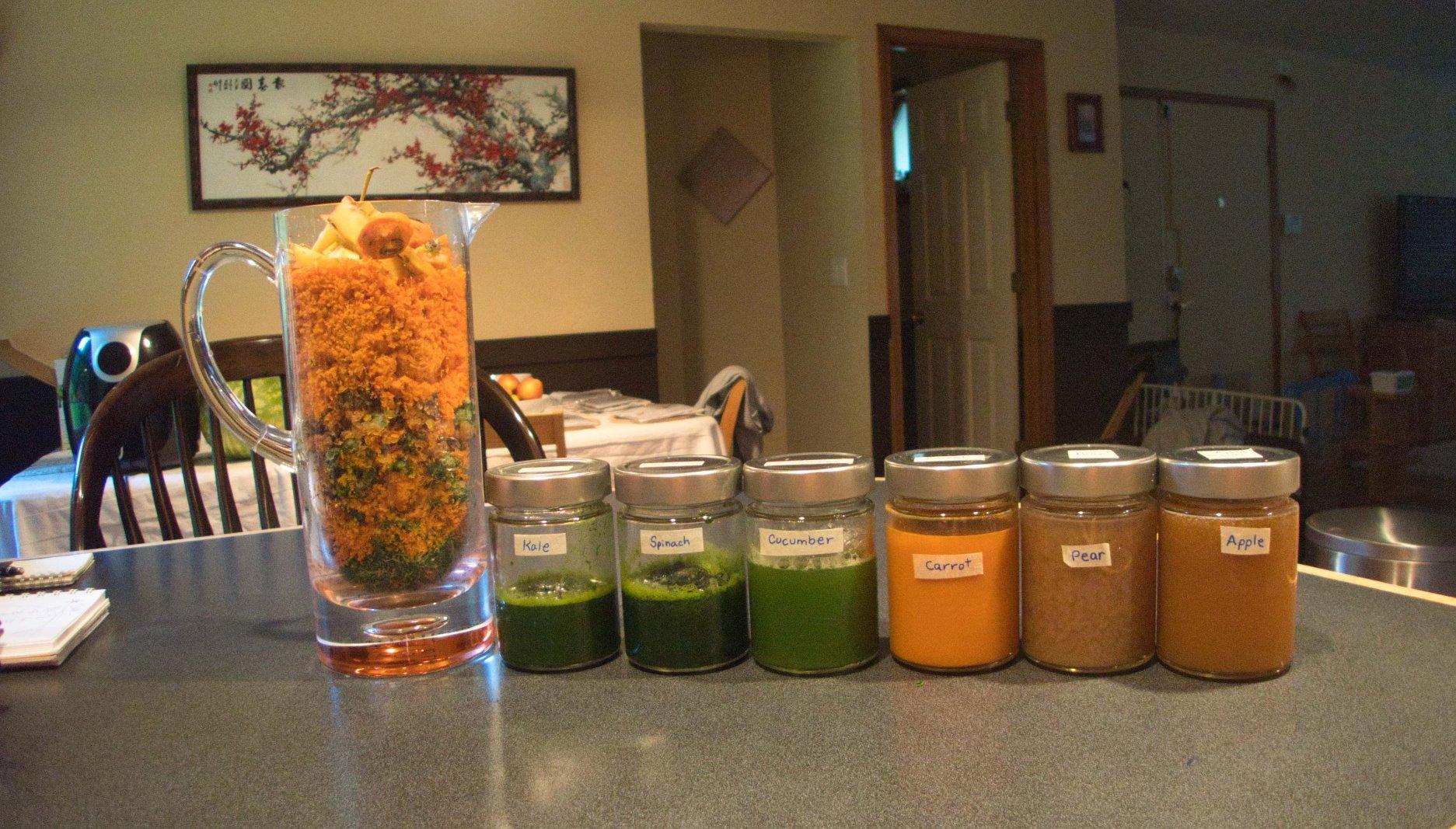 Omega Cold Press Juicer Machine, All-in-One Nutrition System for Vegetable and Fruit Juice, Nut Butter, Baby Food, Pasta and Sorbets, Triple-Stage 80-RPM Slow Masticating Juicer, 200-Watts, Chrome customer photo 1