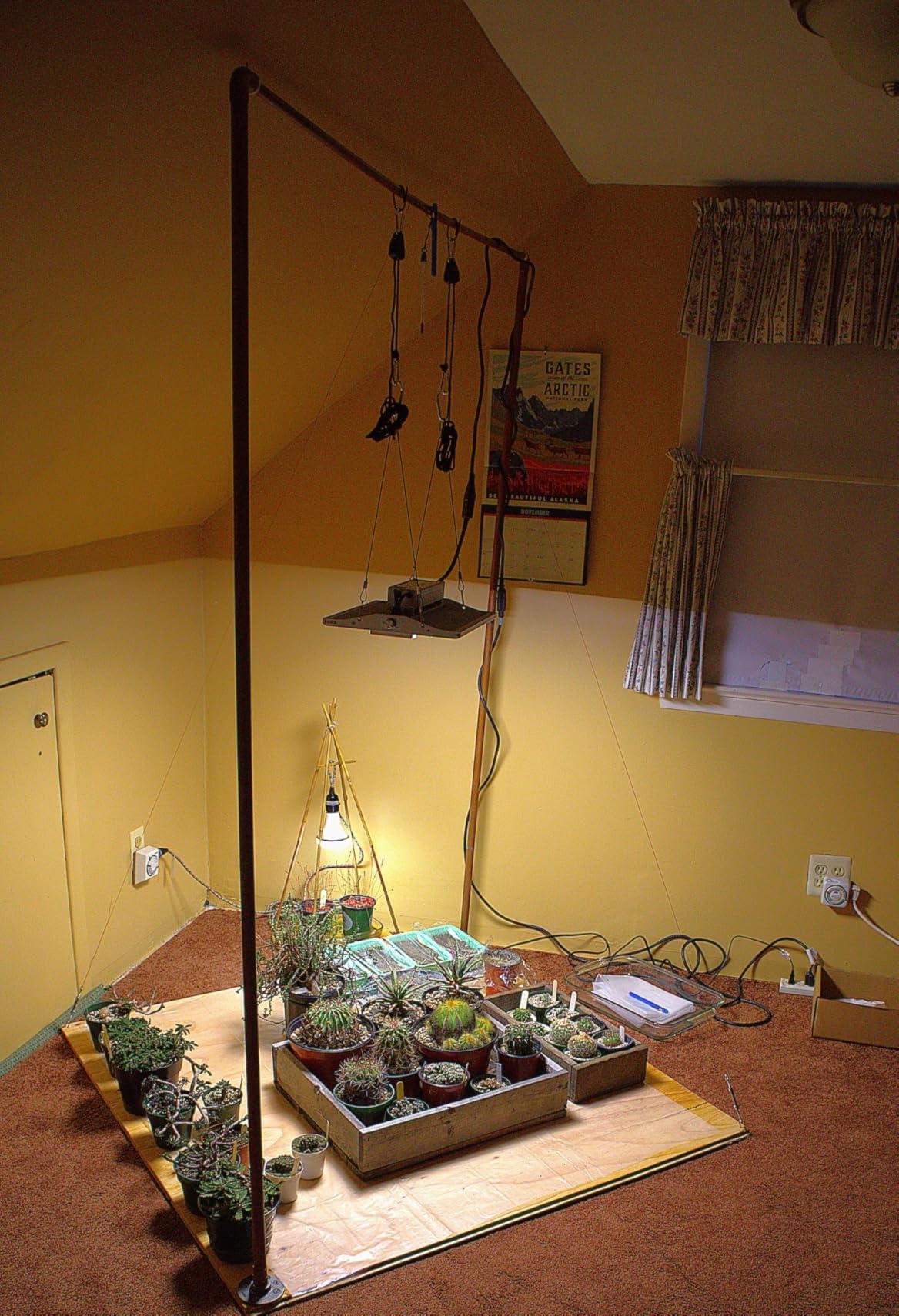 VIPARSPECTRA P2000 LED Grow Lights 250 Watt Dimmable Plant Light Daisy Chain customer photo 2