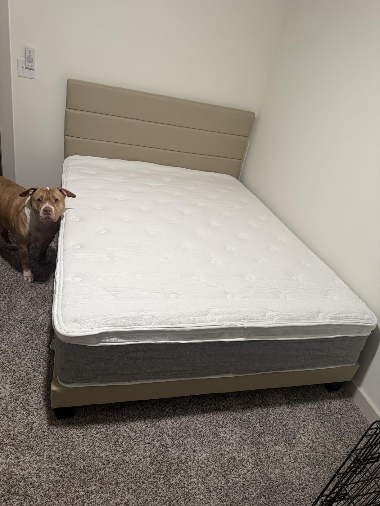 Allewie Queen Size Platform Bed Frame with Fabric Upholstered Headboard and Wooden Slats Support, Fully Upholstered Mattress Foundation/No Box Spring Needed/Easy Assembly, Dark Grey customer photo 2