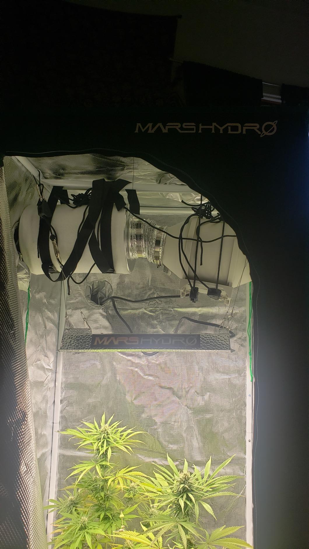 MARS HYDRO 2x2 Grow Tent Kit Complete System with 10 Speed Fan,100W Upgraded TS600 LED Dimmable Grow Light,24