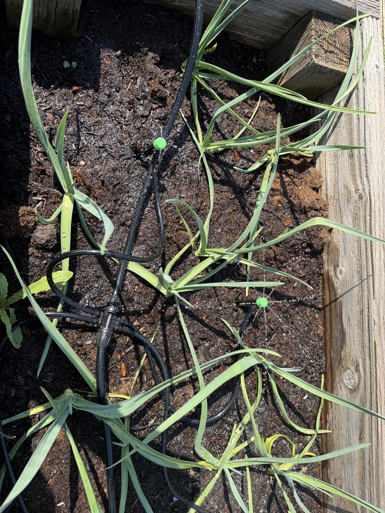 CARPATHEN Drip Irrigation System Kit - Complete Premium Garden Watering System customer photo 2