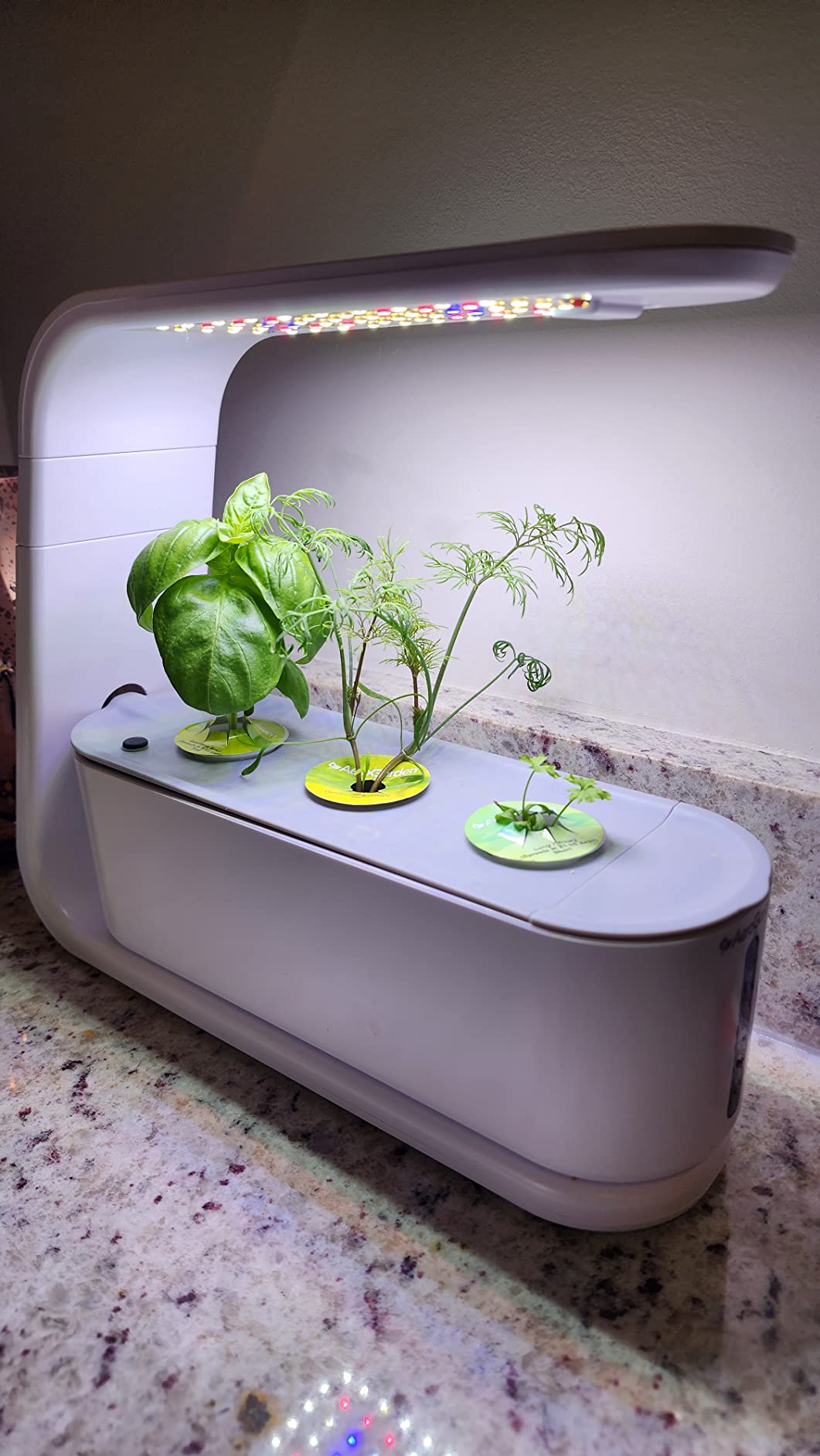 AeroGarden Sprout - Indoor Garden with LED Grow Light, White customer photo 1