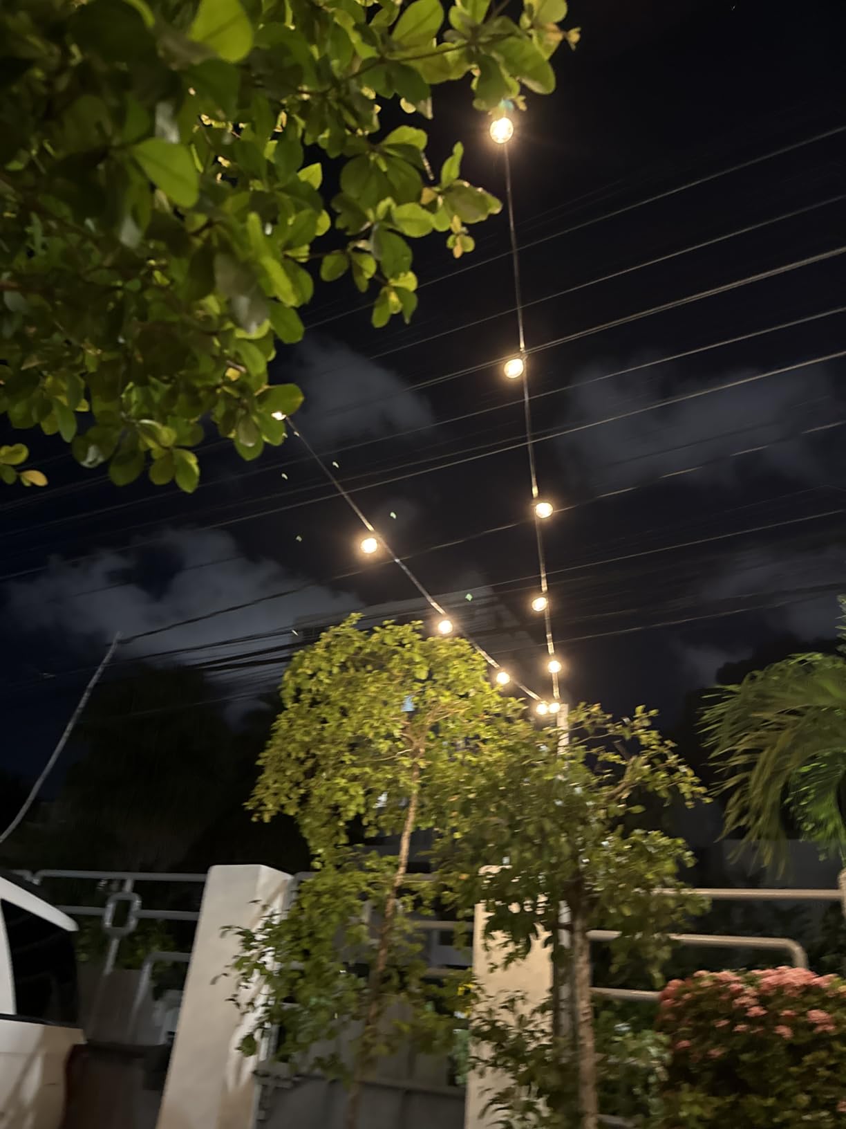 XMCOSY+ Outdoor String Lights, Smart Patio Lights 100Ft Dimmable Outdoor Lights Warm White, 50 G40 LED Bulbs, WiFi String Lights for Outside, Work with Alexa, APP Control, Waterproof Extendable customer photo 1