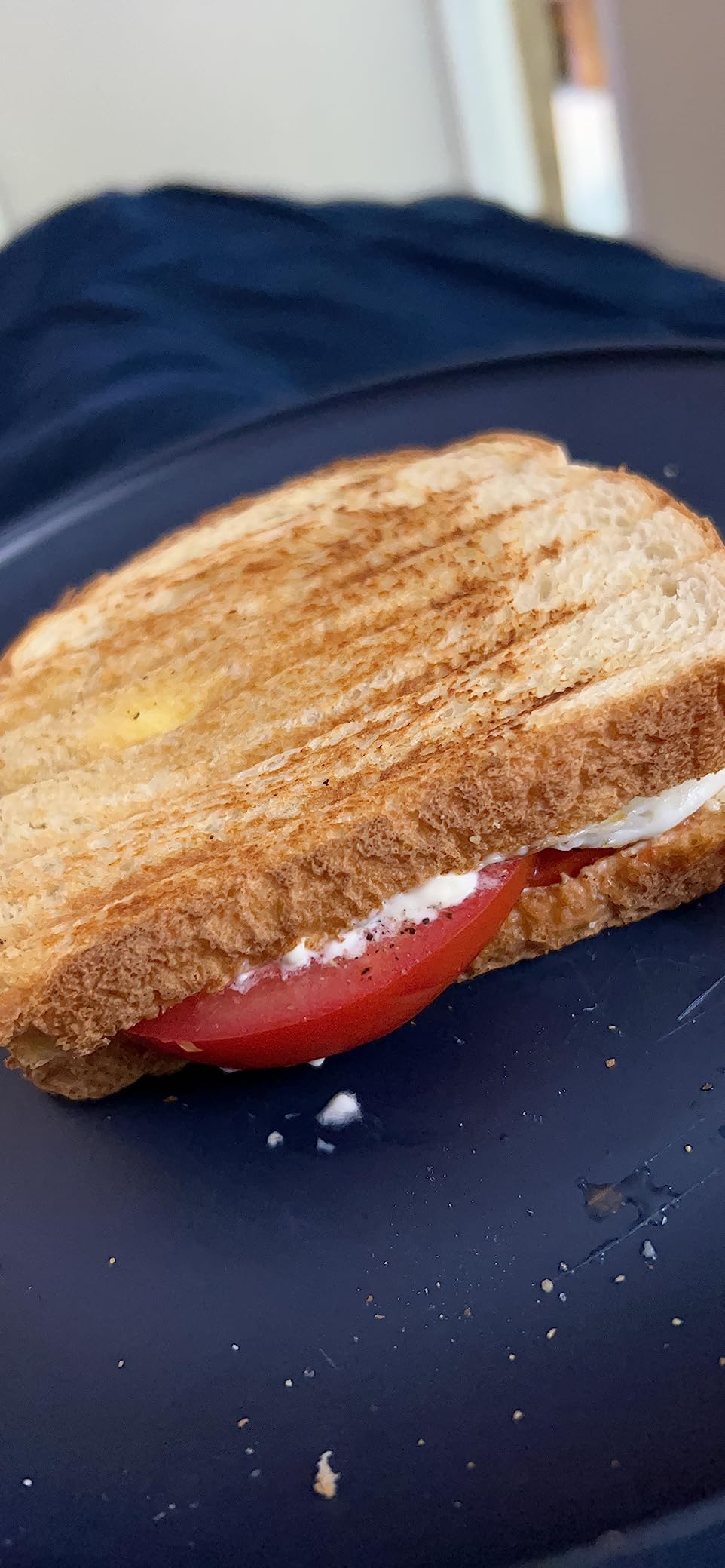 Panini Press Sandwich Maker, Aigostar 1000W Sandwich Press Grill with Non-Stick Coated Plates, Indicator Light, Locking Lid, Cool Touch Handle, Panini Maker Panini Press Grill Easy to Storage & Clean customer photo 1