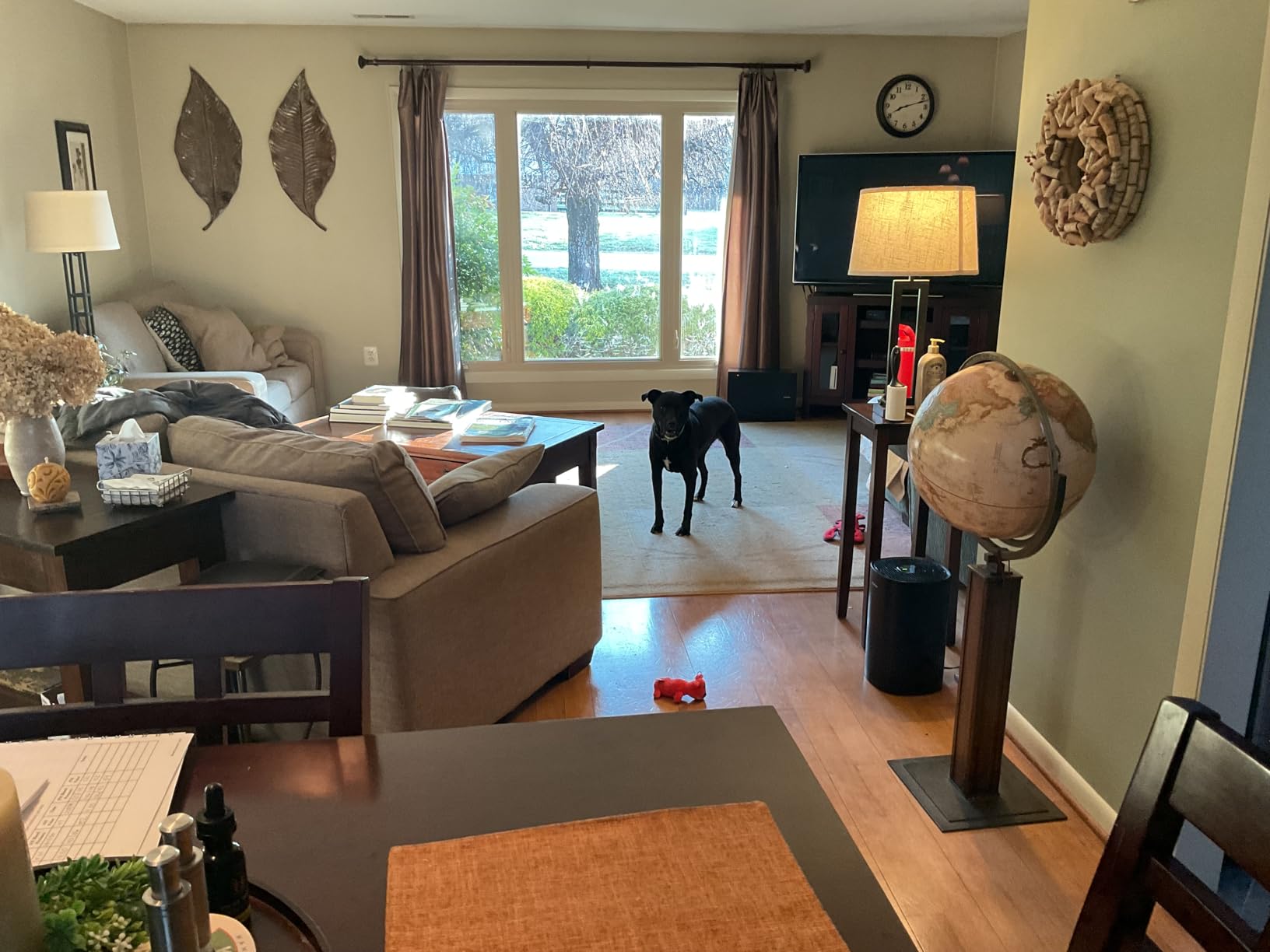 PuroAir 240 HEPA Air Purifier for Home Large Rooms - Covers Up To 1,000 Sq Ft - Filters Up To 99.9% of Pollutants, Smoke, Pollen, Dust - Quiet HEPA Air Filter - Air Purifiers for Bedroom customer photo 1