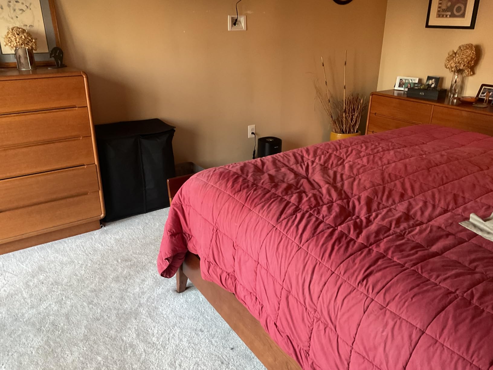 PuroAir 240 HEPA Air Purifier for Home Large Rooms - Covers Up To 1,000 Sq Ft - Filters Up To 99.9% of Pollutants, Smoke, Pollen, Dust - Quiet HEPA Air Filter - Air Purifiers for Bedroom customer photo 2