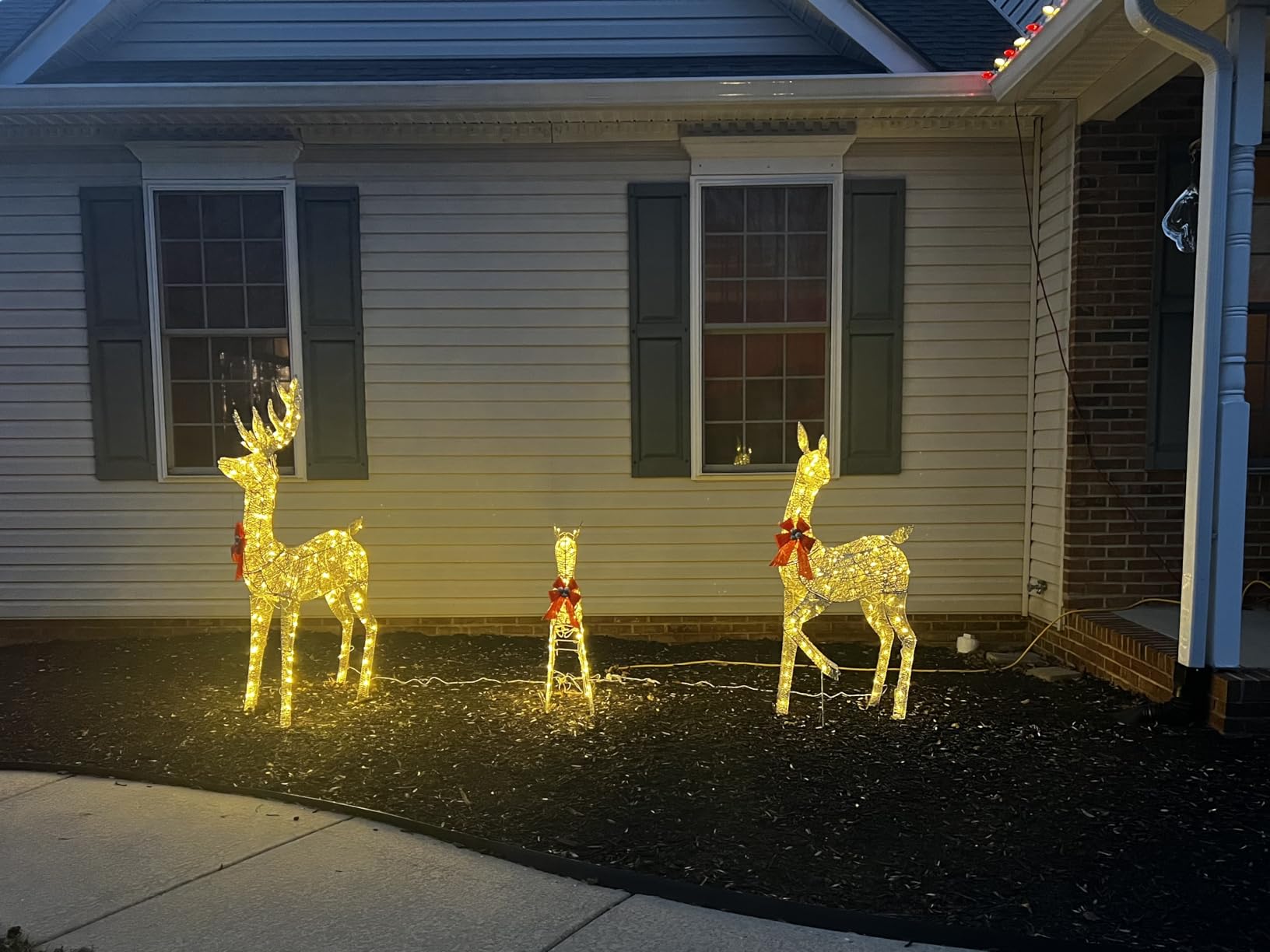 Best Choice Products 3-Piece Large Lighted Christmas Deer Family Set 5Ft Outdoor Yard Decoration with 360 LED Lights, Stakes, Zip Ties - White customer photo 2
