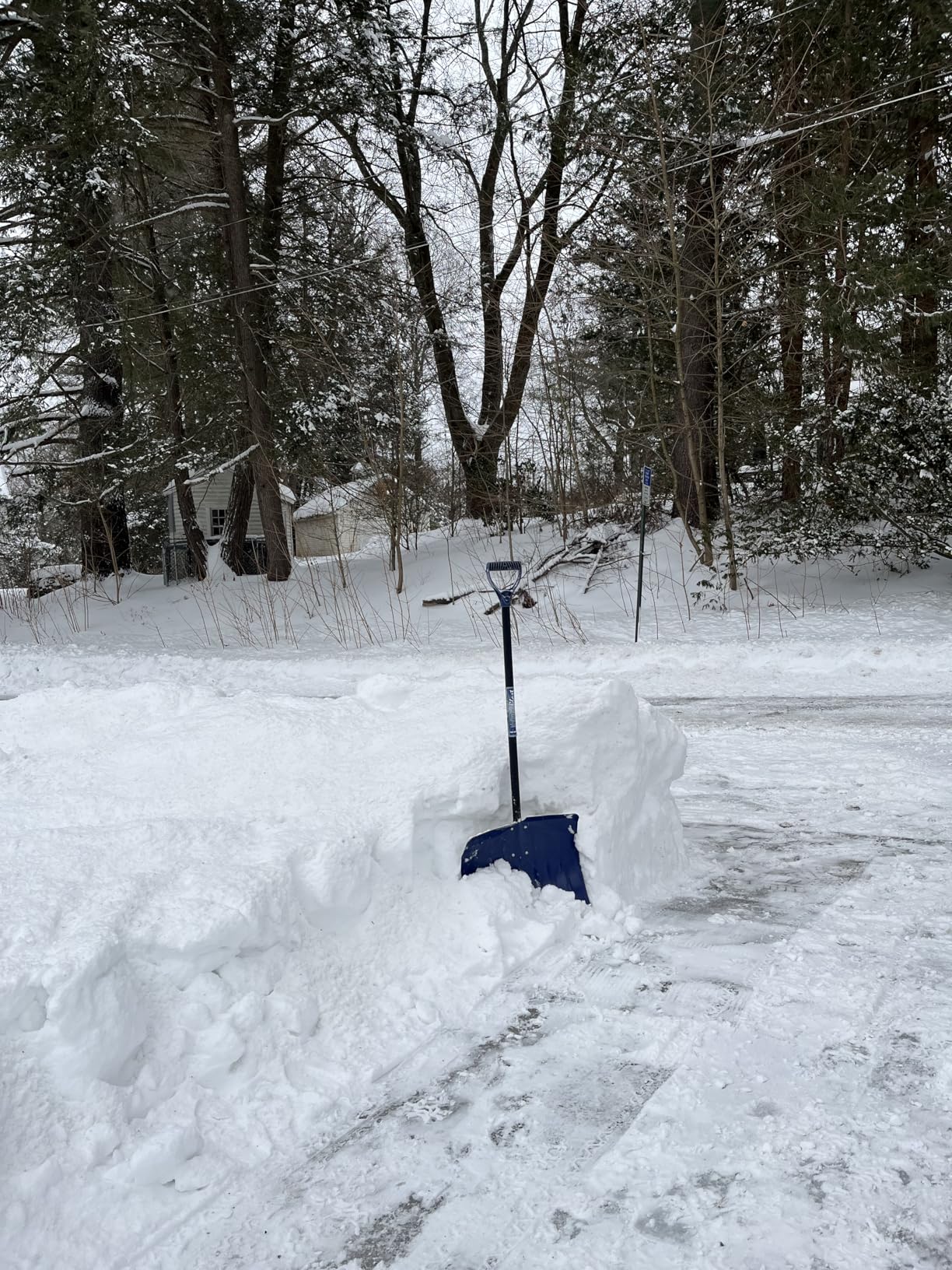 EGO Power+ SNT2112 21