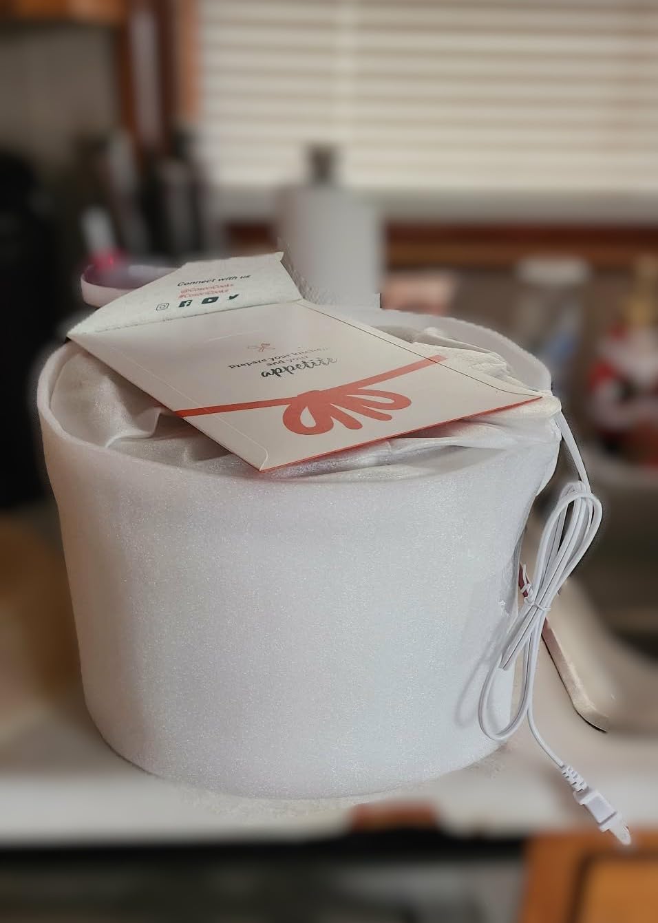 COSORI Food Dehydrator Machine for Jerky, 5 Trays with 165°F Temperature Control and 48H Timer, 350W Dryer for Fruit, Herbs, Meat, Veggies and Dog Treats, 50-Recipes Book Included customer photo 2