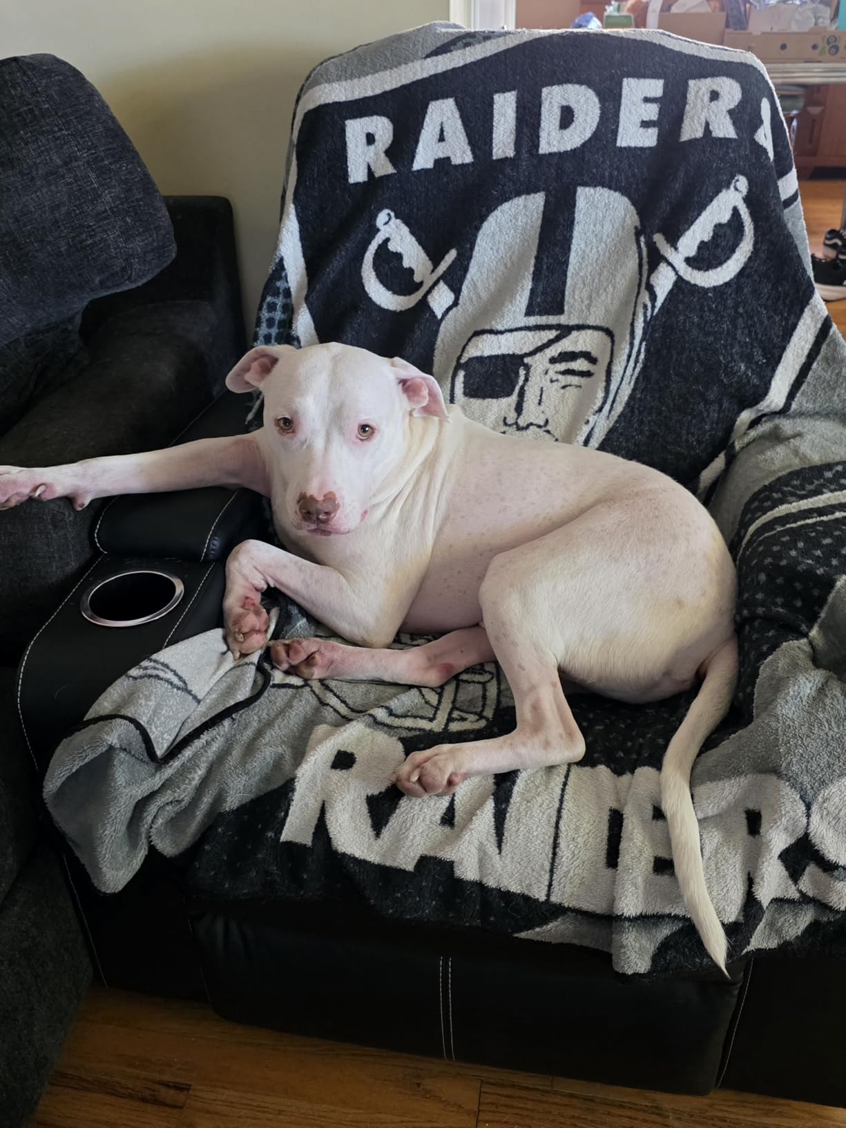 CANMOV Electric Power Recliner Chair with USB Ports and Cup Holders, Breathable Leather Home Theater Seating with Hidden Arm Storage (Black) customer photo 1