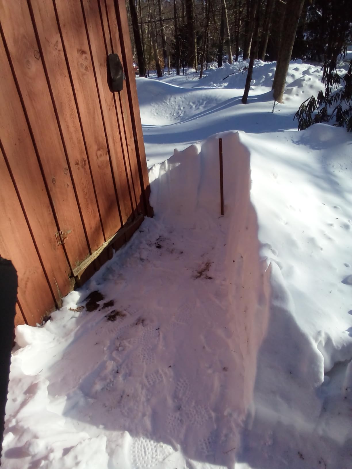 Snow Joe 24V Cordless Electric Snow Shovel Kit w/ Cover & Scraper, 13