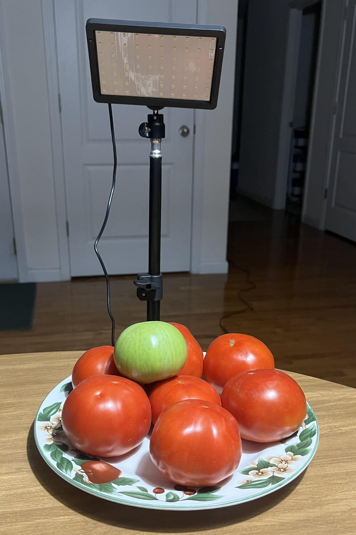 Photography Lighting Kit Dimmable 5600K USB Led Video Studio Streaming Lights with Adjustable Tripod Stand and Color Filters for Table Top/Photo Video Shooting customer photo 2