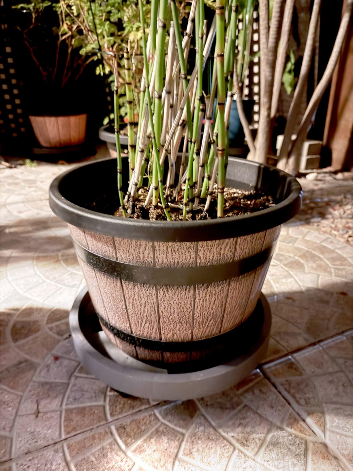 Quarut 3 Pack 10 inch Plant Pots, Whiskey Barrel Planters with Drainage Holes & Saucer customer photo 2