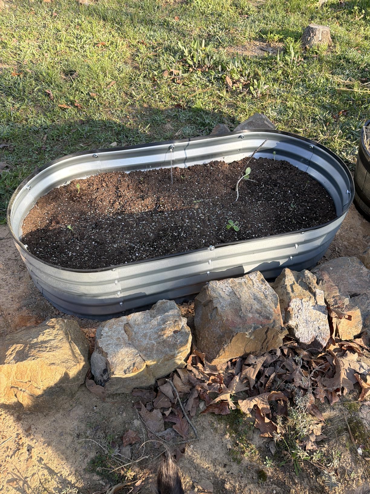 Plant & Plot Galvanized Raised Garden Beds Outdoor, 4x2x1 ft Planter Raised Bed for Gardening, Vegetables, Flowers, Large Metal Garden Box (Silver) - Patented Tool-Free Design customer photo 1