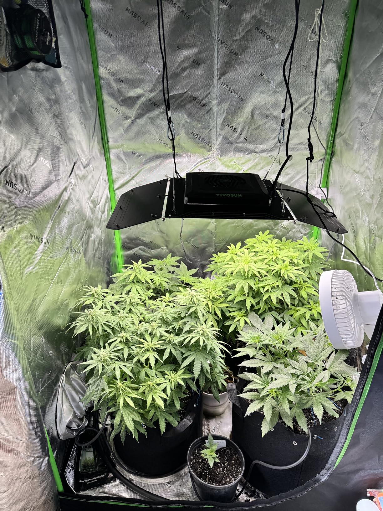 VIVOSUN Smart Grow Tent Kit 2.7 × 2.7ft WiFi-Integrated Automatic Complete Grow System with Full Spectrum LED Grow Light 150W, Efficient Ventilation System with GrowHub E42A+ Controller customer photo 2