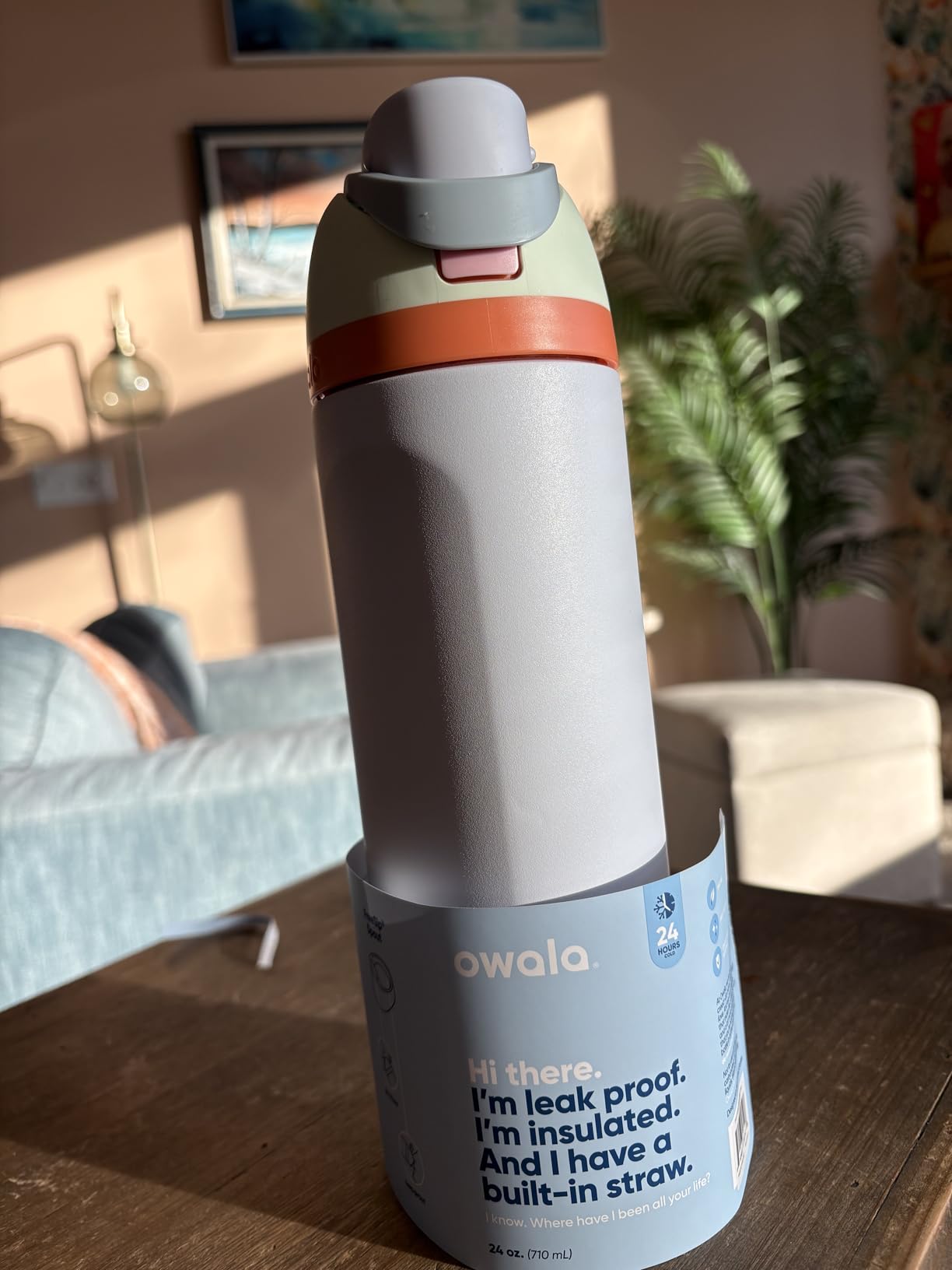 FreeSip Insulated Stainless Steel Water Bottle with Straw, BPA-Free Sports Water Bottle, Great for Travel, 24 Oz, Denim customer photo 2