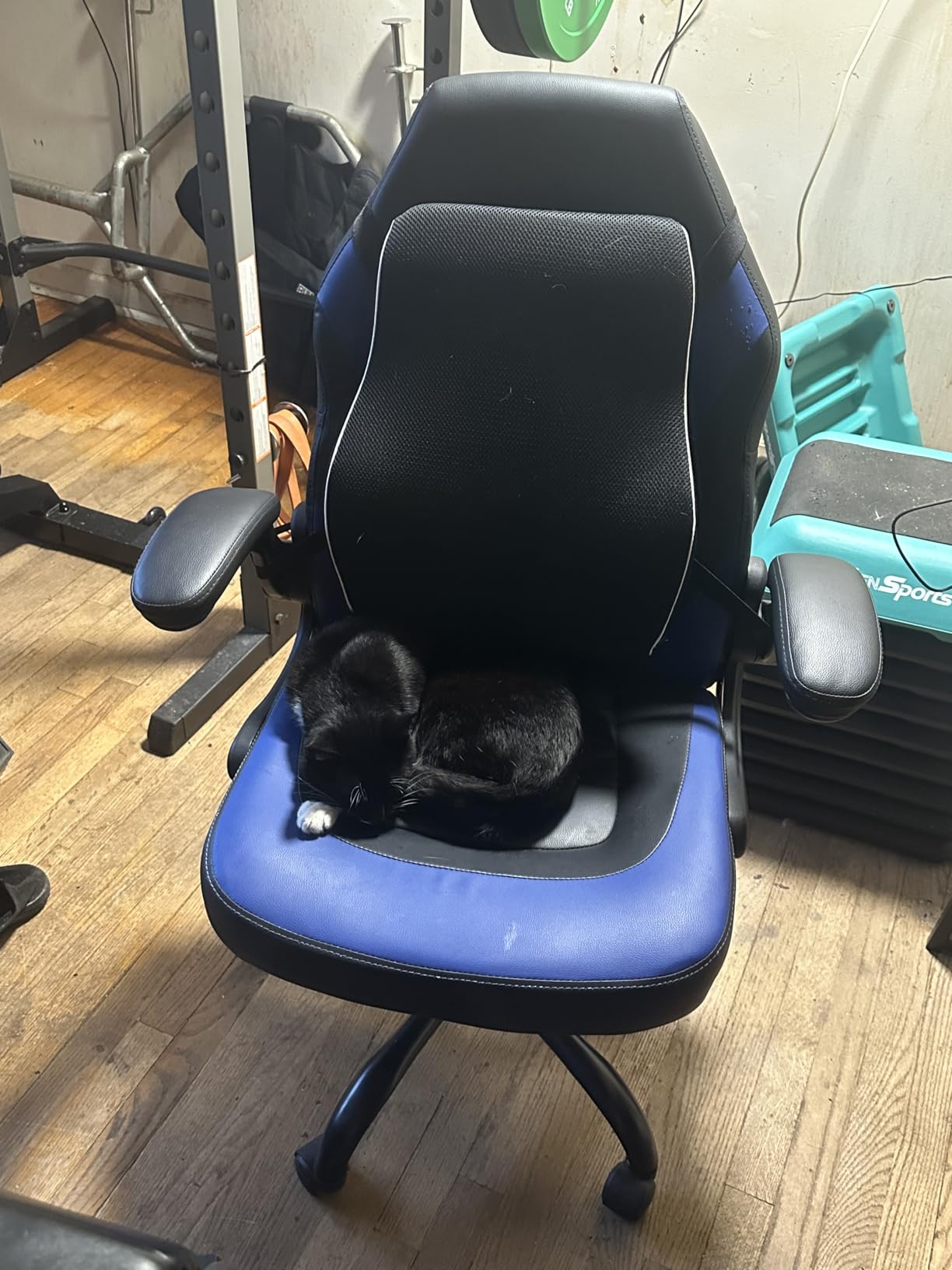 Sweetcrispy Computer Video Game Chair - Ergonomic Home Office with Comfy Lumbar Support, PU Leather Height Adjustable with Flip-up Armrest and 360 Swivel Wheels, Blue, for Adults, Teens customer photo 1