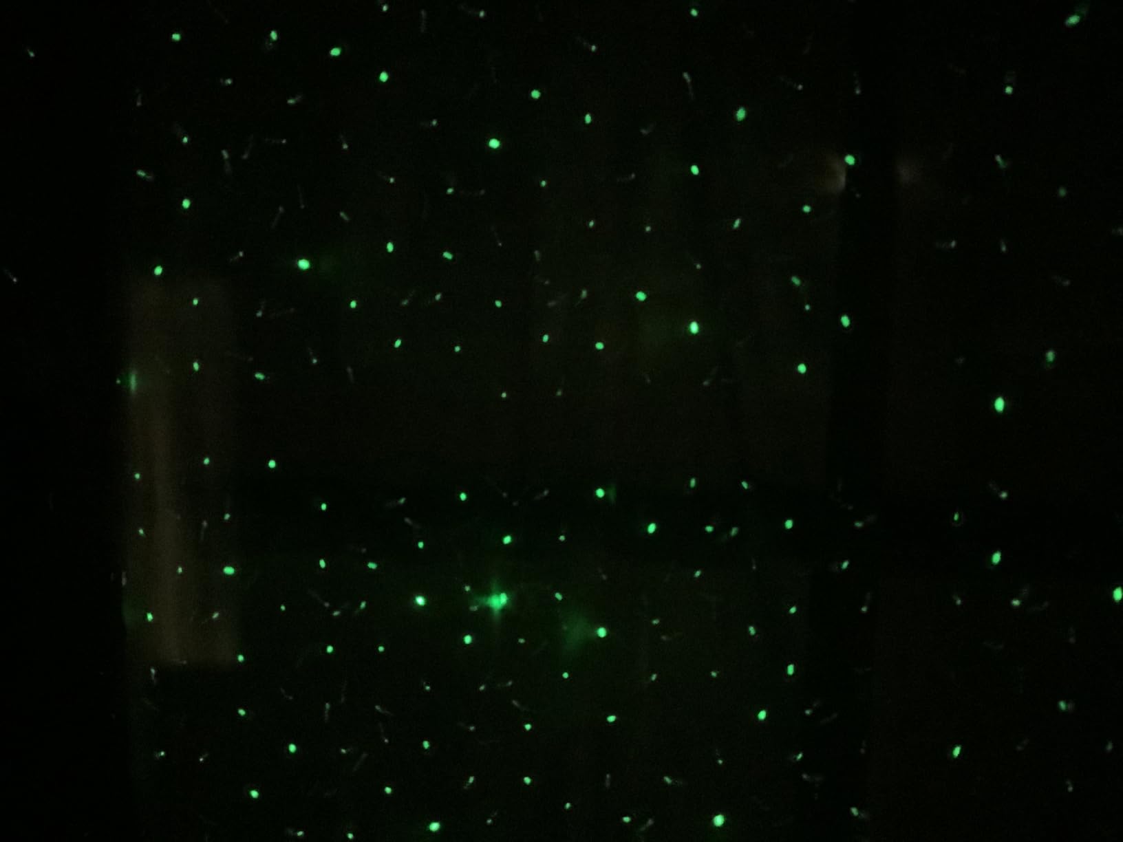 Laser Christmas Projector Lights Outdoor, 3 Color Laser Light Projector, Firefly Lights Show with RF Remote, Waterproof, Indoor Holiday Decoration customer photo 1