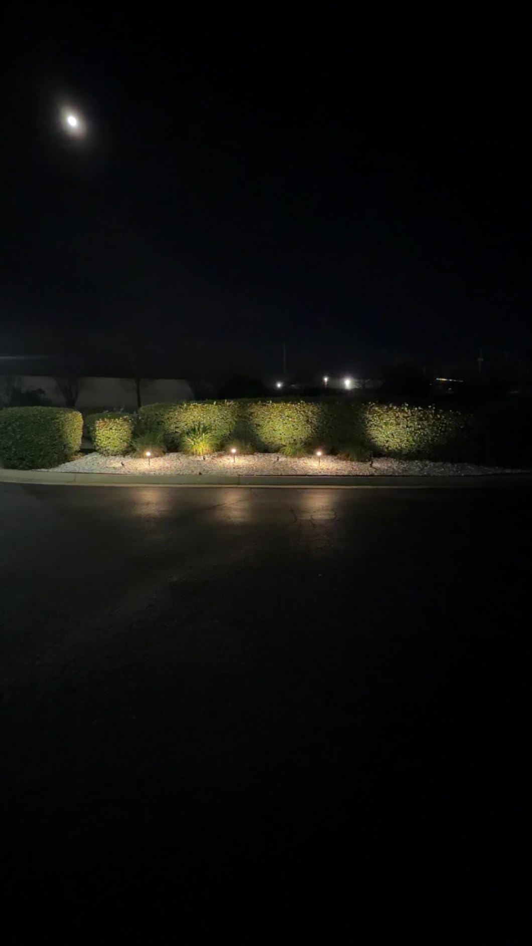 SUNVIE LED Low Voltage Landscape Lighting Kit, 12 Pack with Transformer, Low Voltage Pathway Lights with Spotlights Aluminum customer photo 2