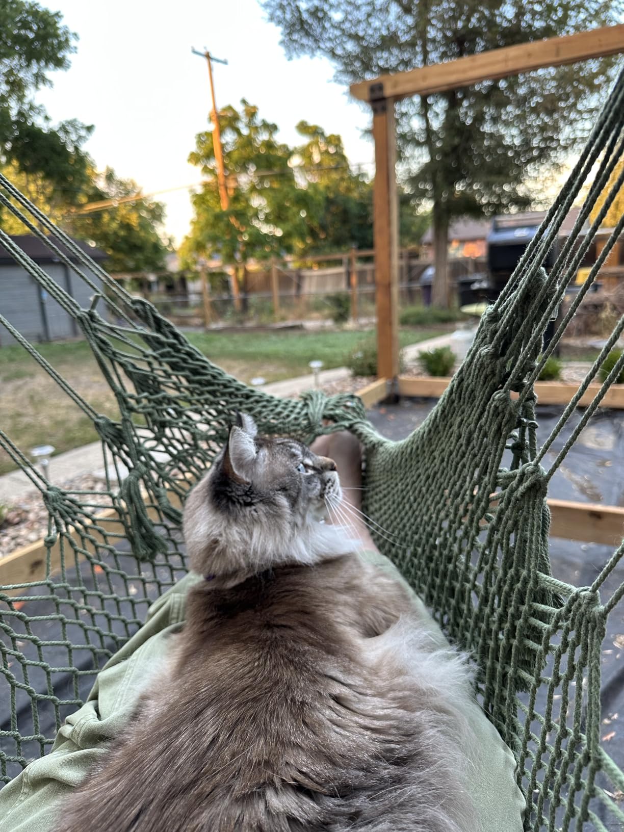 Chihee Hammock Chair Handmade Hanging Chair Cotton Rope Woven Hanging Seat Soft-Spun Large Stretch Hammock Swing, Collapsible Strong Metal Spreader Bar Elegant Macrame Comfort Indoor Outdoor Garden customer photo 1