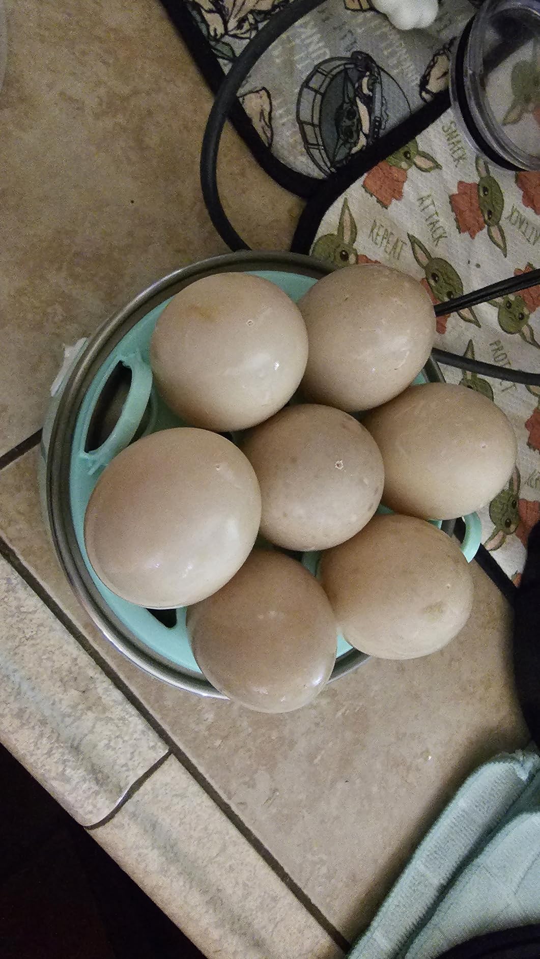 Elite Gourmet EGC115B Easy Egg Cooker Electric 7-Egg Capacity, Soft, Medium, Hard-Boiled Egg Cooker with Auto Shut-Off, Measuring Cup Included, BPA Free, Classic Black customer photo 1